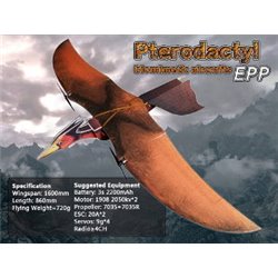 Pterodáctilo RC - PnP